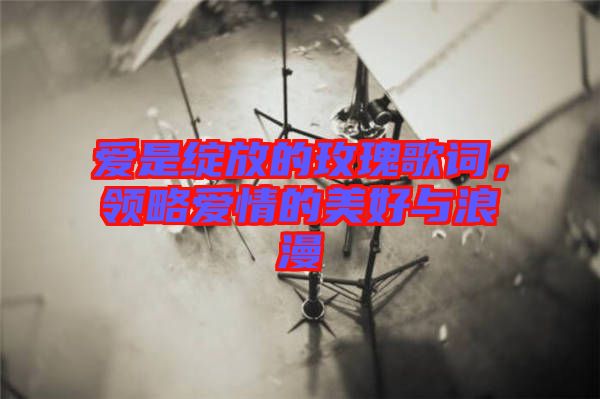 愛是綻放的玫瑰歌詞，領略愛情的美好與浪漫