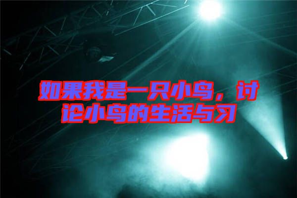 如果我是一只小鳥，討論小鳥的生活與習(xí)