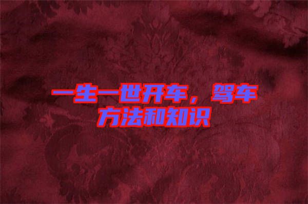 一生一世開車，駕車方法和知識