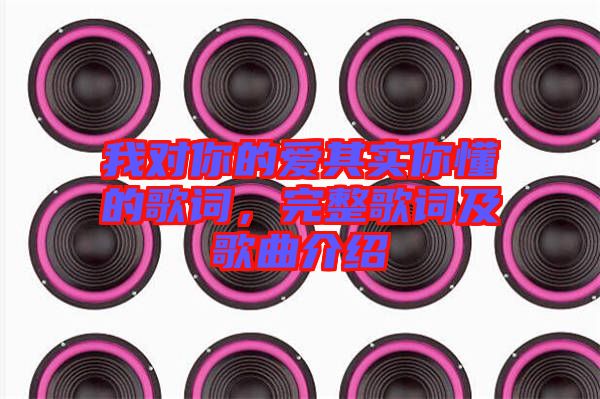 我對(duì)你的愛其實(shí)你懂的歌詞，完整歌詞及歌曲介紹