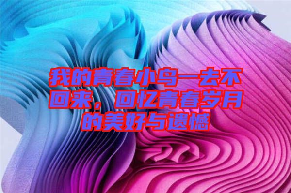 我的青春小鳥一去不回來，回憶青春歲月的美好與遺憾