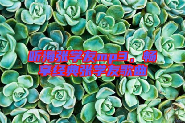 聽海張學(xué)友mp3，暢享經(jīng)典張學(xué)友歌曲