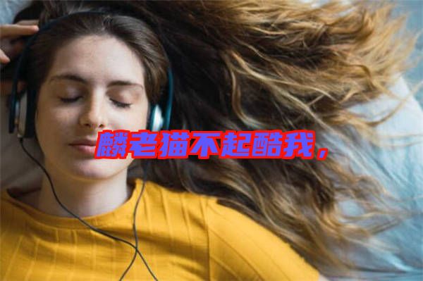 麟老貓不起酷我，