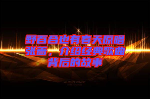 野百合也有春天原唱張薔，介紹經(jīng)典歌曲背后的故事