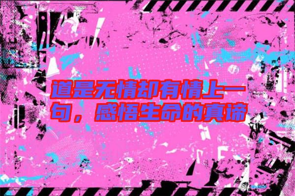 道是無情卻有情上一句，感悟生命的真諦