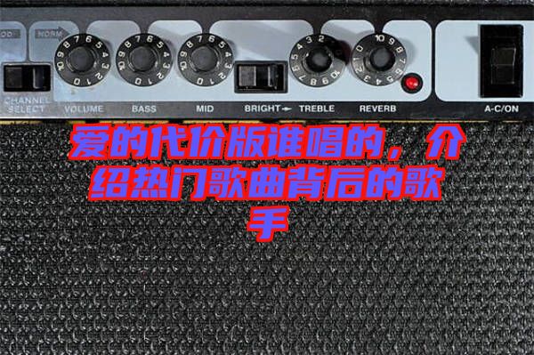 愛的代價(jià)版誰唱的，介紹熱門歌曲背后的歌手