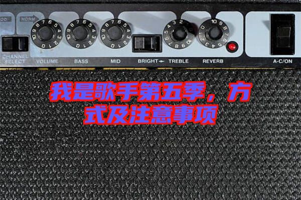 我是歌手第五季，方式及注意事項(xiàng)