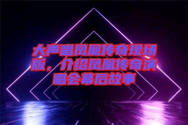 大聲唱鳳凰傳奇現(xiàn)場(chǎng)版，介紹鳳凰傳奇演唱會(huì)幕后故事