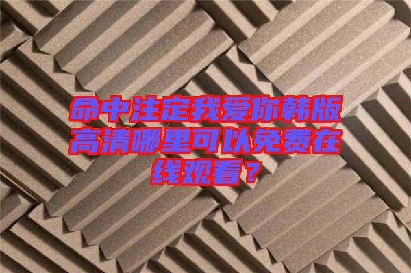 命中注定我愛你韓版高清哪里可以免費在線觀看？