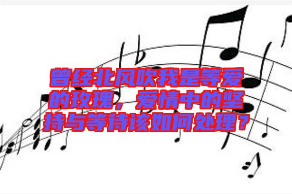 曾經北風吹我是等愛的玫瑰，愛情中的堅持與等待該如何處理？