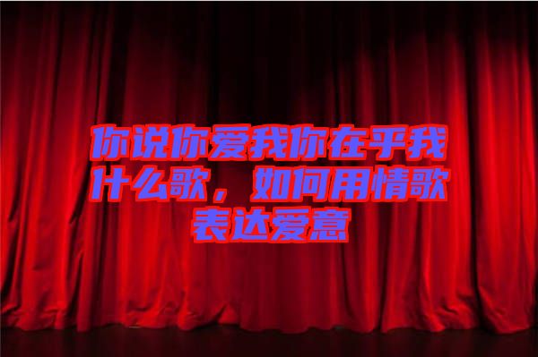 你說你愛我你在乎我什么歌，如何用情歌表達愛意