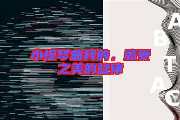 小提琴曲我的，感受之美的旋律