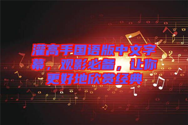 灌高手國語版中文字幕，觀影必備，讓你更好地欣賞經(jīng)典