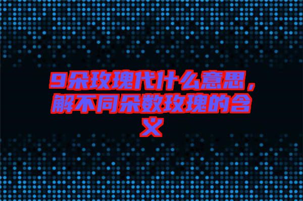 9朵玫瑰代什么意思，解不同朵數(shù)玫瑰的含義
