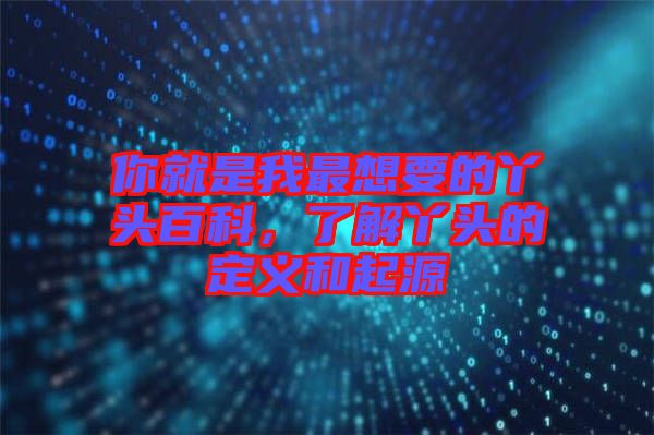 你就是我最想要的丫頭百科，了解丫頭的定義和起源