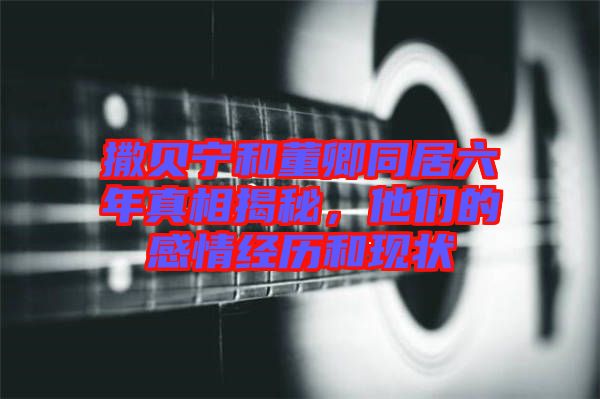 撒貝寧和董卿同居六年真相揭秘，他們的感情經(jīng)歷和現(xiàn)狀