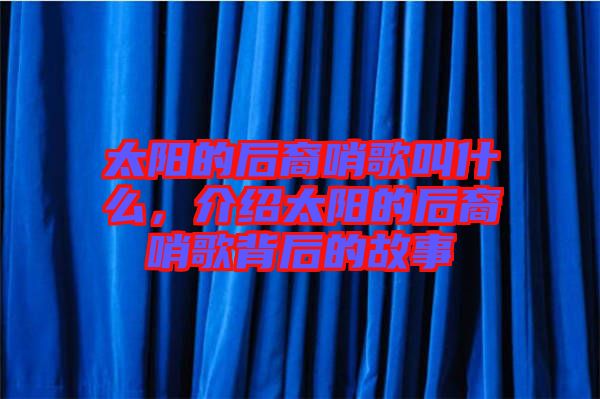 太陽的后裔哨歌叫什么，介紹太陽的后裔哨歌背后的故事