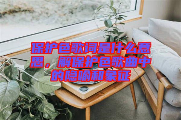 保護(hù)色歌詞是什么意思，解保護(hù)色歌曲中的隱喻和象征