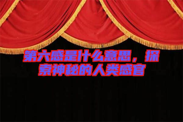 第六感是什么意思，探索神秘的人類感官