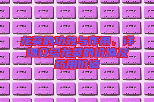 龍葵的功效與作用，詳細(xì)介紹龍葵的價(jià)值及藥用價(jià)值