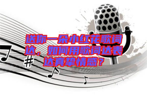 送你一朵小紅花歌詞達，如何用歌詞達表達真摯情感？