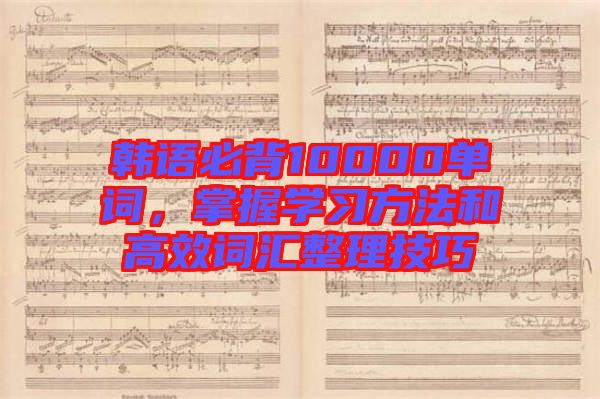 韓語(yǔ)必背10000單詞，掌握學(xué)習(xí)方法和高效詞匯整理技巧
