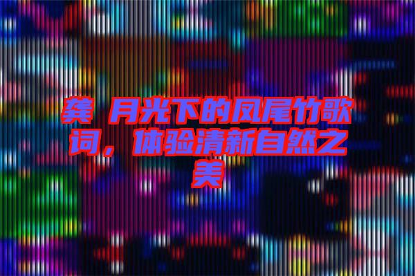 龔玥月光下的鳳尾竹歌詞，體驗(yàn)清新自然之美