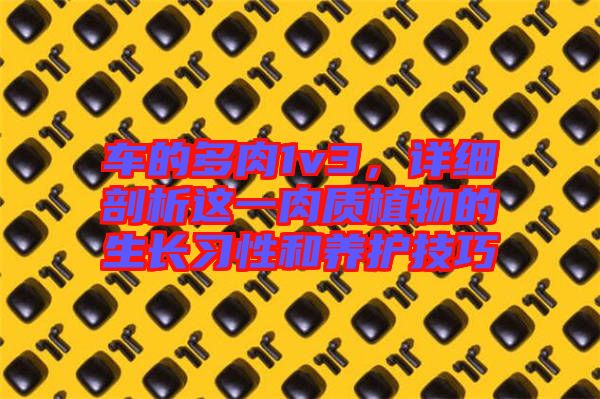 車的多肉1v3，詳細(xì)剖析這一肉質(zhì)植物的生長(zhǎng)習(xí)性和養(yǎng)護(hù)技巧