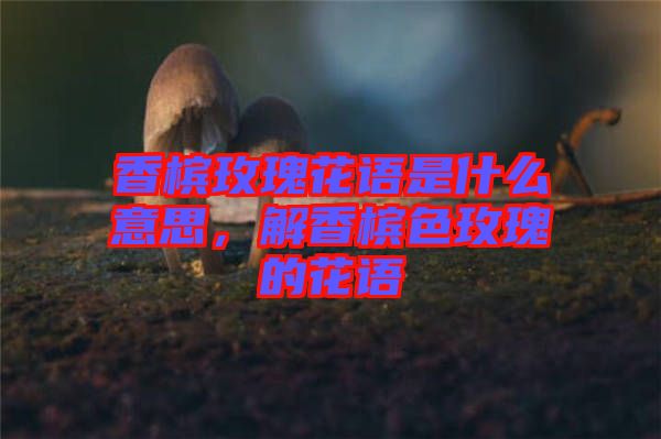 香檳玫瑰花語(yǔ)是什么意思，解香檳色玫瑰的花語(yǔ)