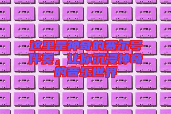 這里是神奇的賽爾號伴奏，讓你沉浸神奇的音樂世界