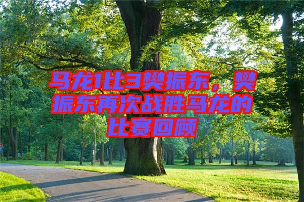 馬龍1比3樊振東，樊振東再次戰(zhàn)勝馬龍的比賽回顧