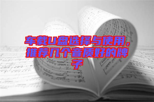 車載U盤選擇與使用，推薦幾個音質(zhì)好的牌子