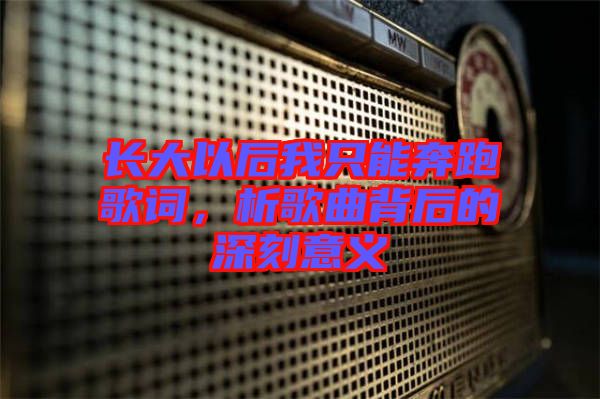 長(zhǎng)大以后我只能奔跑歌詞，析歌曲背后的深刻意義