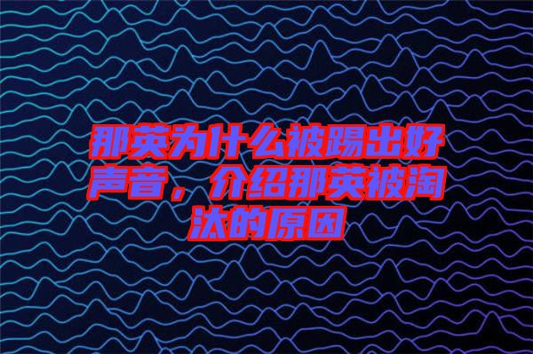 那英為什么被踢出好聲音，介紹那英被淘汰的原因