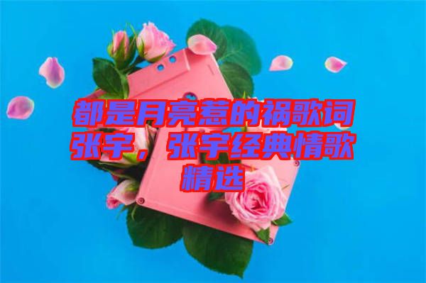 都是月亮惹的禍歌詞張宇，張宇經(jīng)典情歌精選